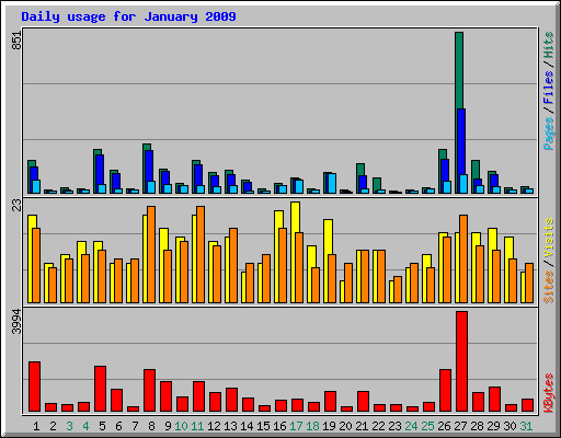 Daily usage for January 2009