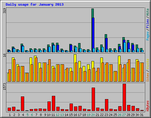 Daily usage for January 2013
