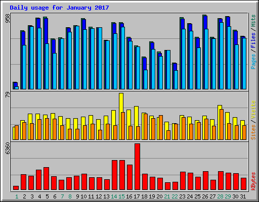 Daily usage for January 2017