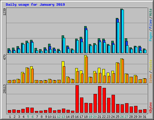 Daily usage for January 2019