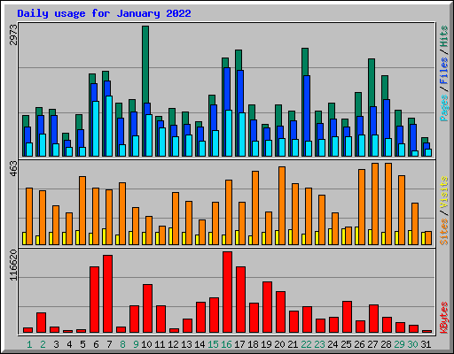 Daily usage for January 2022
