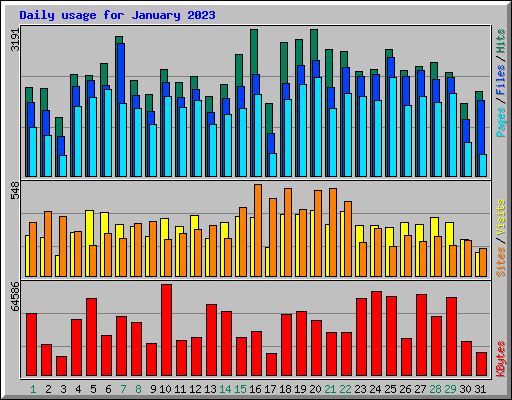 Daily usage for January 2023