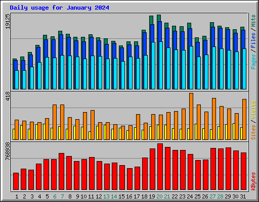 Daily usage for January 2024