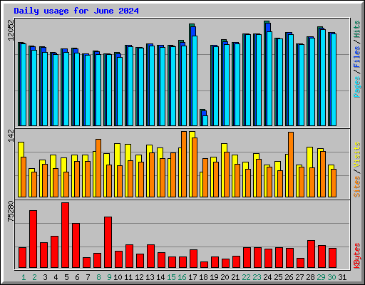 Daily usage for June 2024