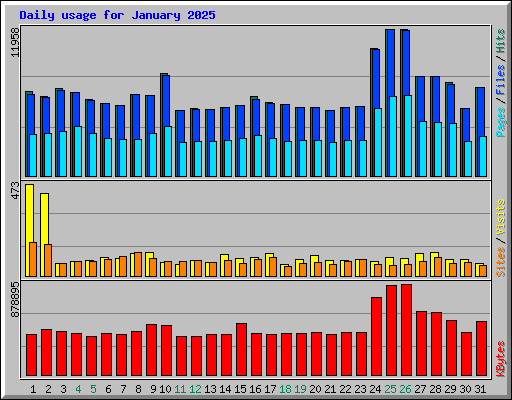 Daily usage for January 2025