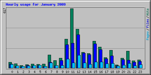 Hourly usage for January 2009