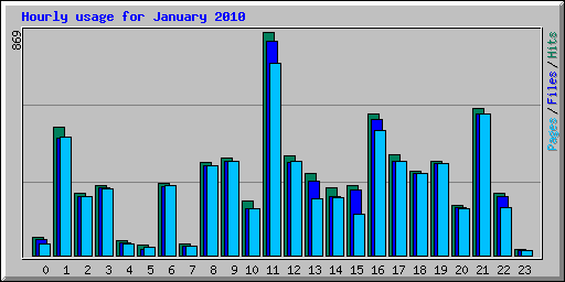 Hourly usage for January 2010
