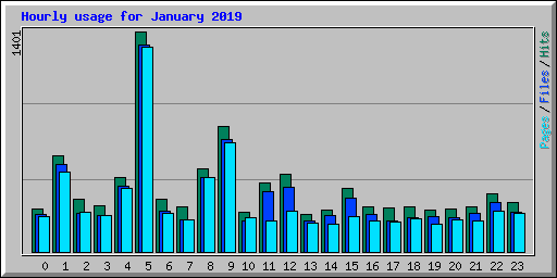 Hourly usage for January 2019