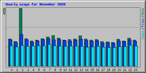 Hourly usage for November 2020