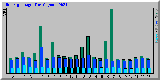 Hourly usage for August 2021