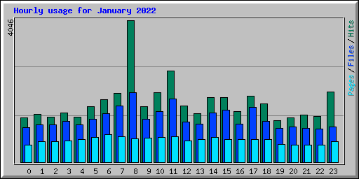 Hourly usage for January 2022