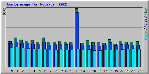 Hourly usage for November 2022