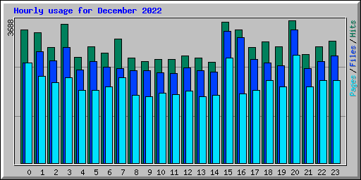 Hourly usage for December 2022