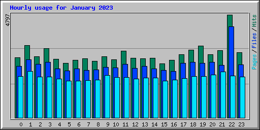 Hourly usage for January 2023
