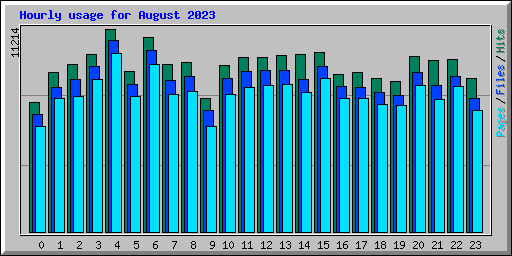 Hourly usage for August 2023