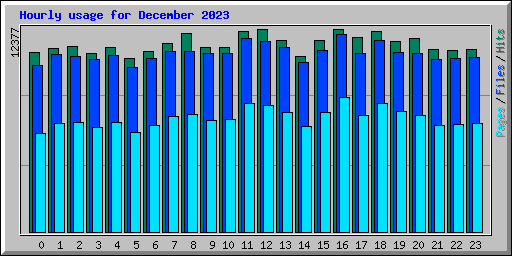 Hourly usage for December 2023