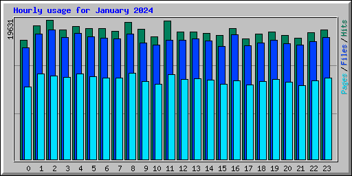 Hourly usage for January 2024