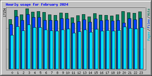 Hourly usage for February 2024