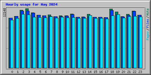 Hourly usage for May 2024
