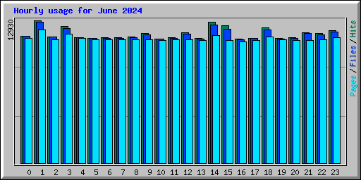 Hourly usage for June 2024