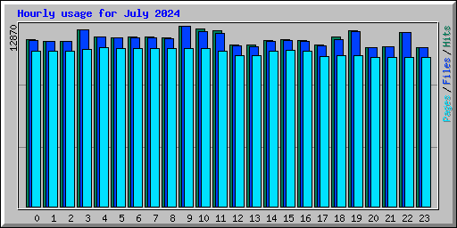 Hourly usage for July 2024