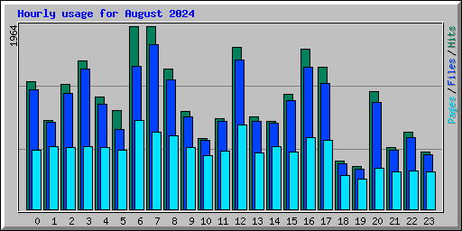 Hourly usage for August 2024