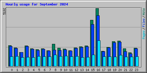 Hourly usage for September 2024