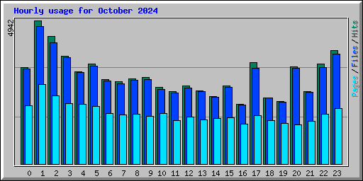 Hourly usage for October 2024