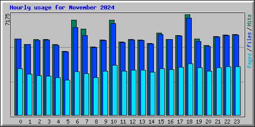 Hourly usage for November 2024
