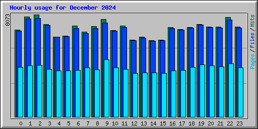 Hourly usage for December 2024