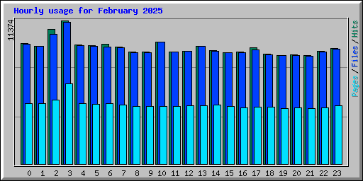 Hourly usage for February 2025