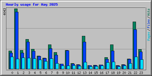 Hourly usage for May 2025